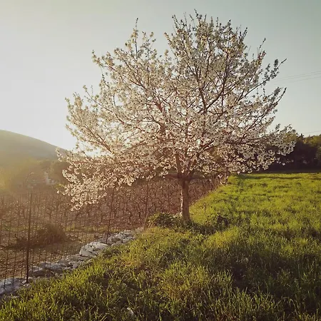Prázdninový dům Cephalonian Countryside