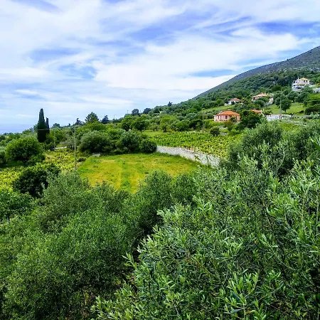 Cephalonian Countryside Nyaraló Divaráta